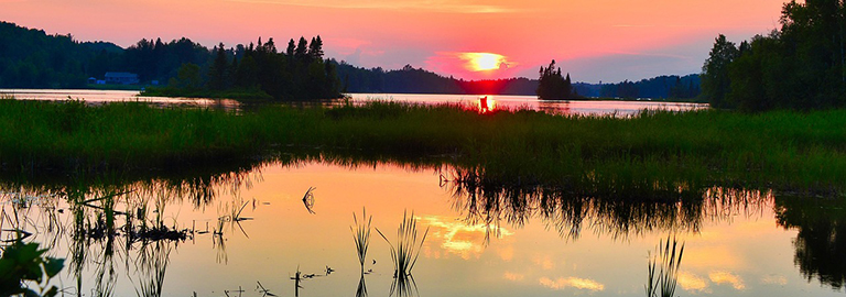 Lire la suite à propos de l’article Changement climatique, une expo pour comprendre et agir