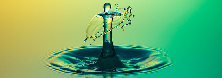 Lire la suite à propos de l’article Concours photos 2026, clôture le 20 février !