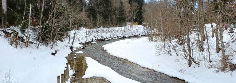 Lire la suite à propos de l’article Séjour neige : épisode 2