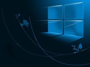 windows-2360748_640